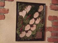 Machove obrazy (3/4)