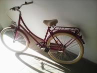 mestské bicykle dámsky + pánsky - cena spolu pár (4/8)