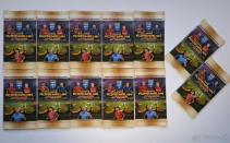 PANINI AKCIA 10 + 2 GRÁTIS FIFA 365 ADRENALYN 2025 - Booster Balíček